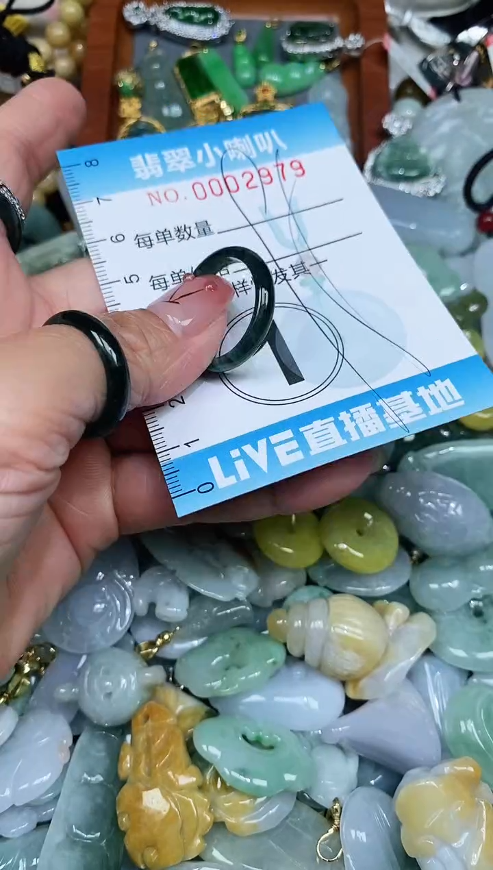 【闪购商品】翡翠颈饰未镶嵌闪购0002979