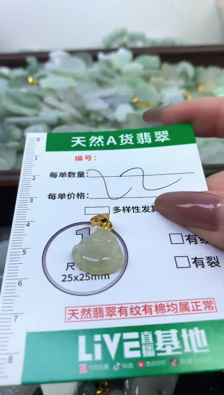 颈饰未镶嵌翡翠纯天然缅甸A货翡翠