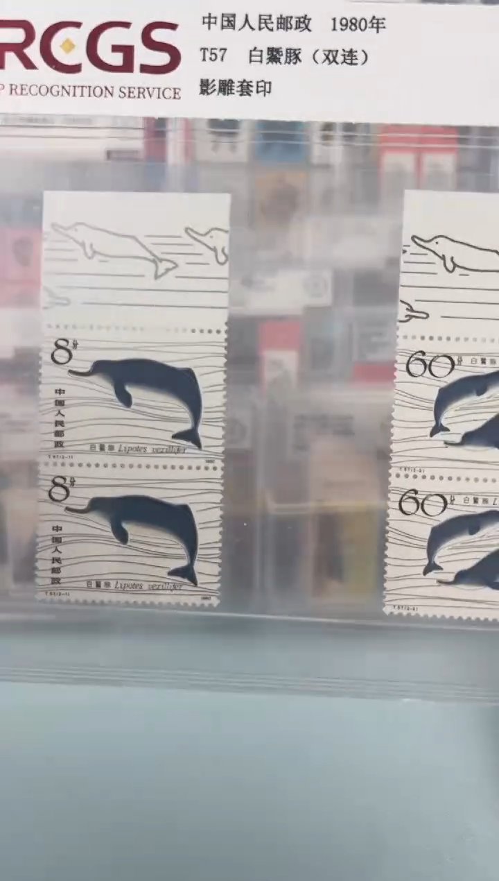 T57带海豚色标双联