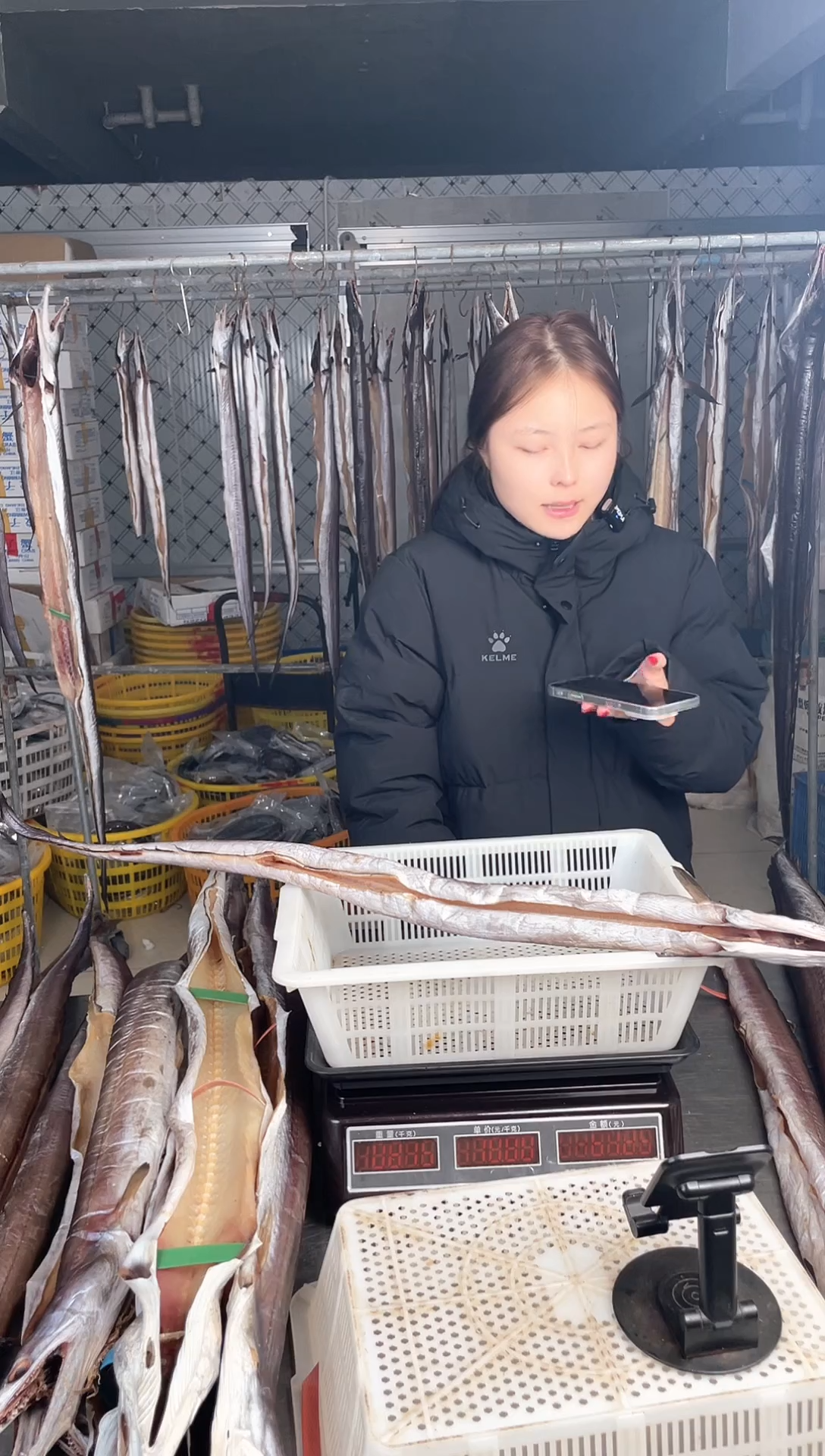 中国大陆1.7斤风鳗1条