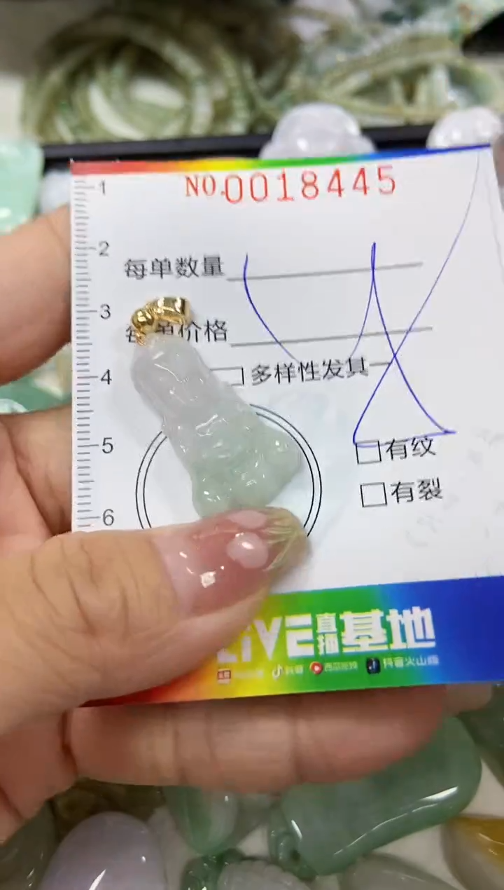 【闪购商品】翡翠颈饰未镶嵌闪购0018445