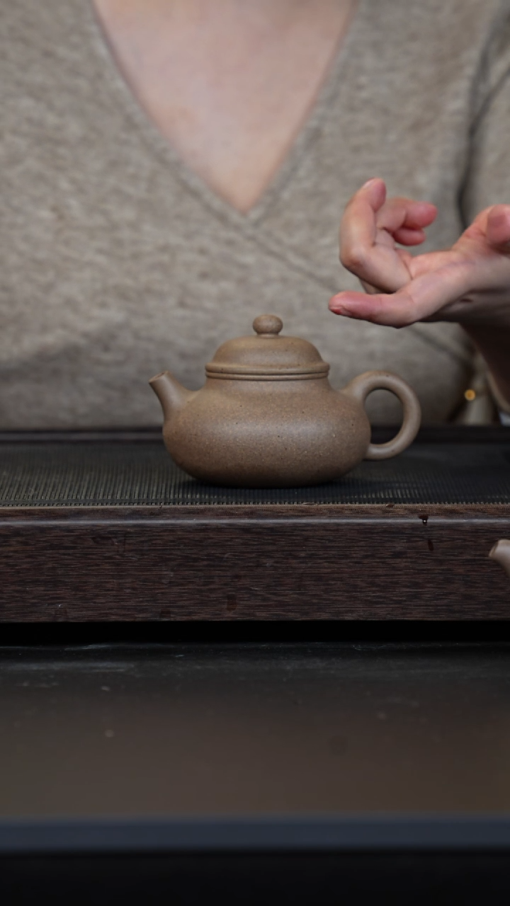 【闪购商品】紫砂茶壶鲨皮青容天