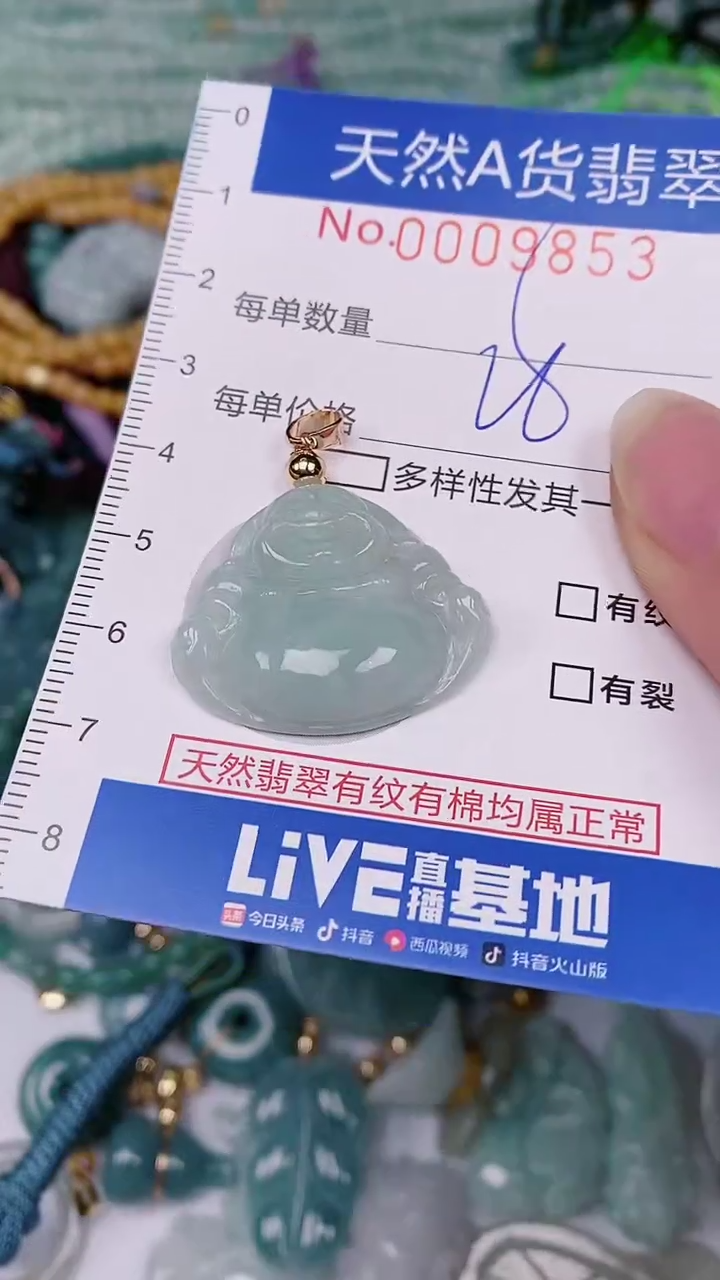 【闪购商品】翡翠颈饰未镶嵌00009853