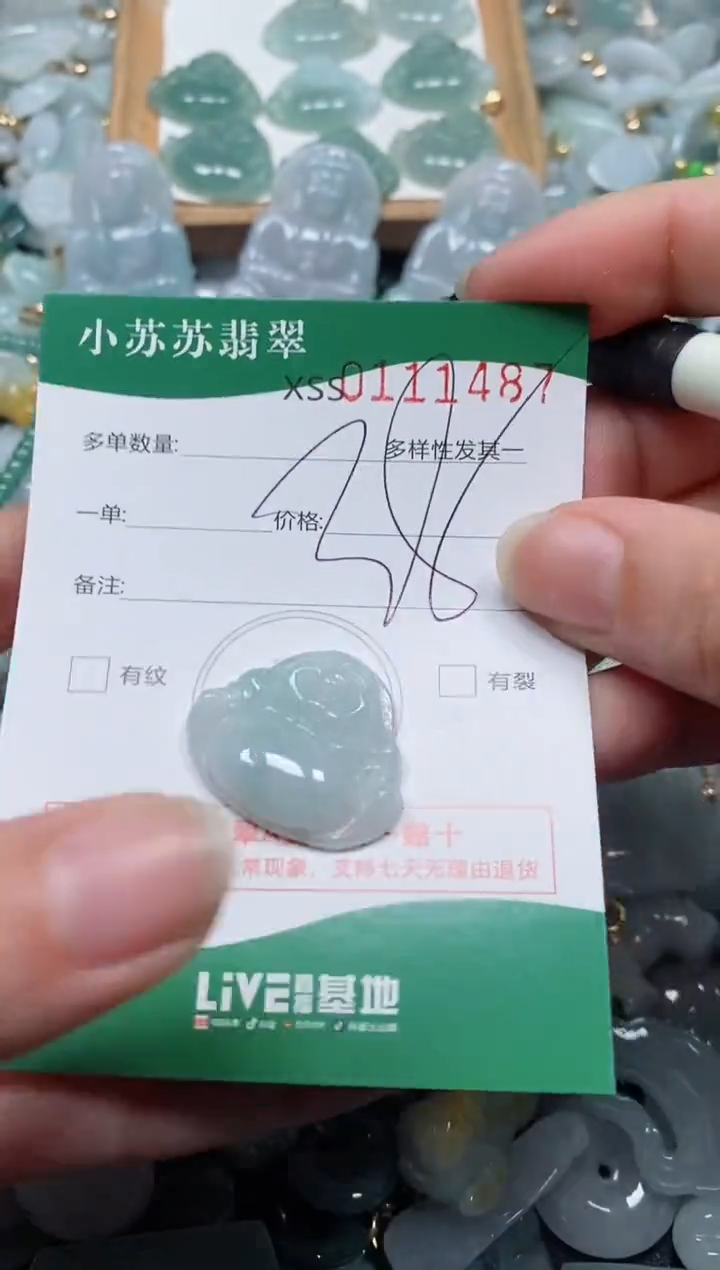 【闪购商品】翡翠颈饰未镶嵌闪购商品0111487