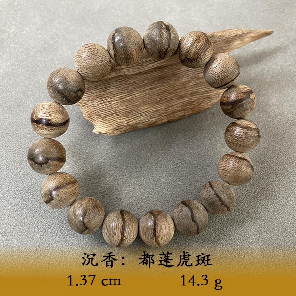 LSWIS天然野都蓬虎斑A805