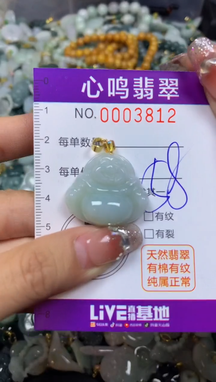 【闪购商品】翡翠颈饰未镶嵌闪购003812