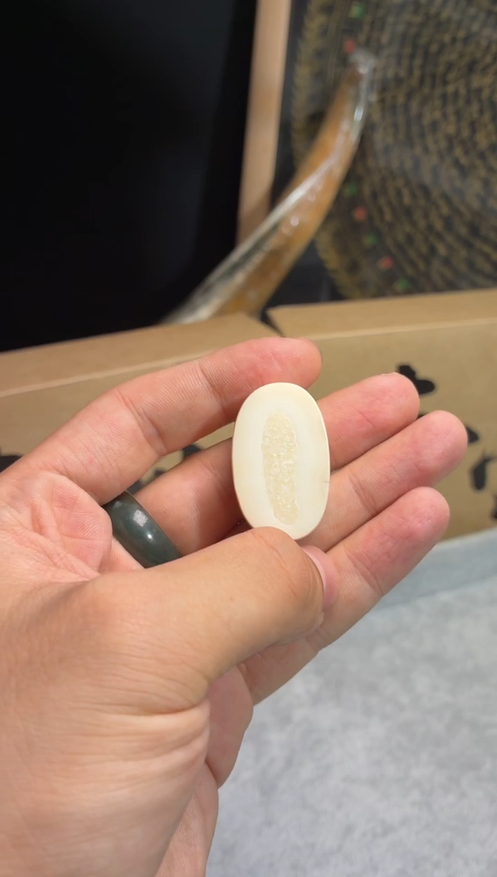 其他猛犸象牙QB233 虬系列饼子