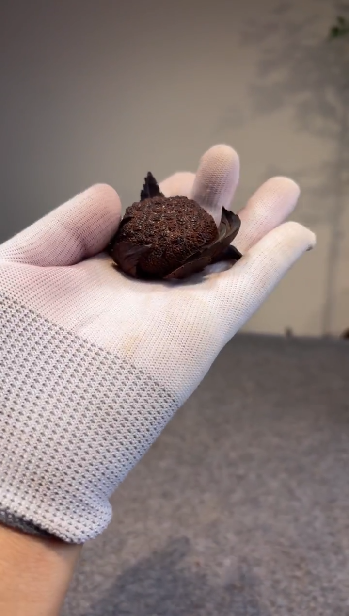 木雨**晴小叶紫檀小叶紫檀