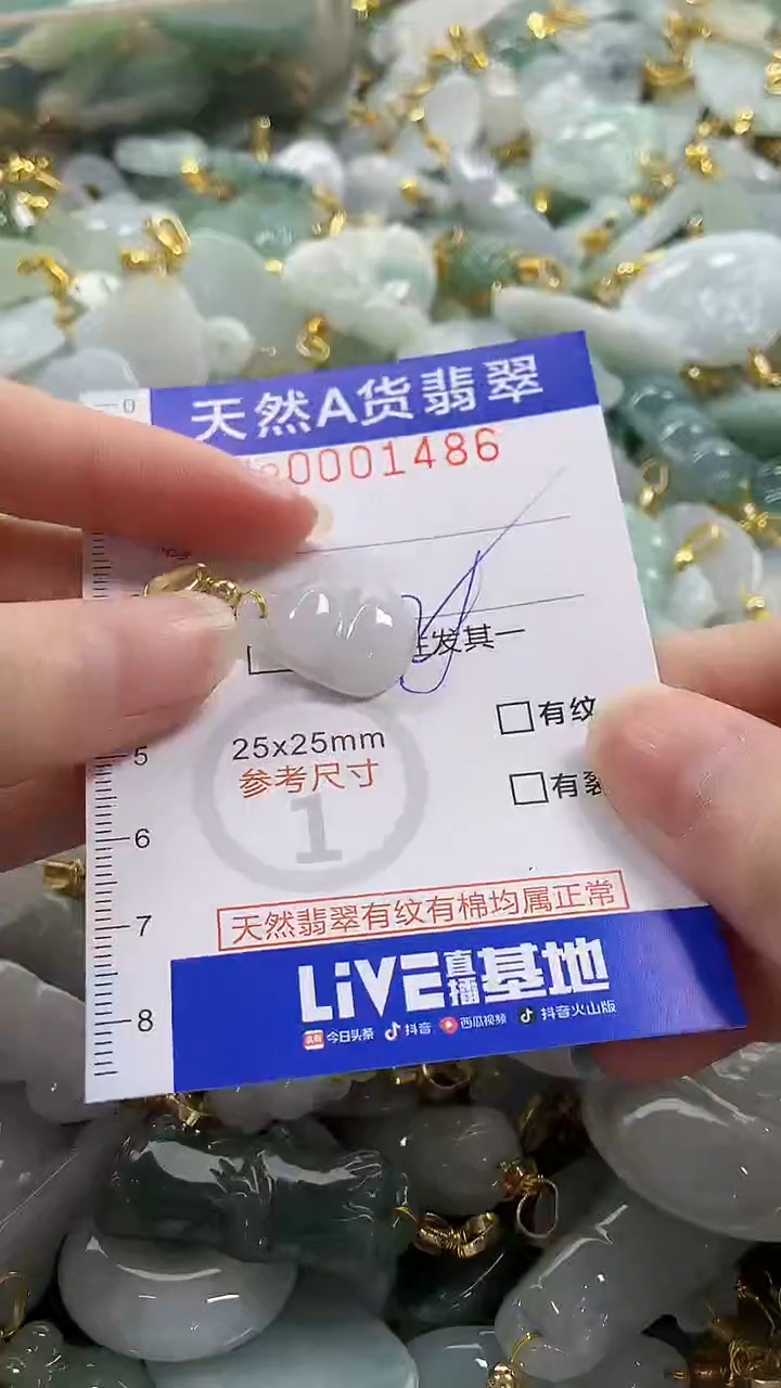 颈饰未镶嵌翡翠纯天然a货翡翠