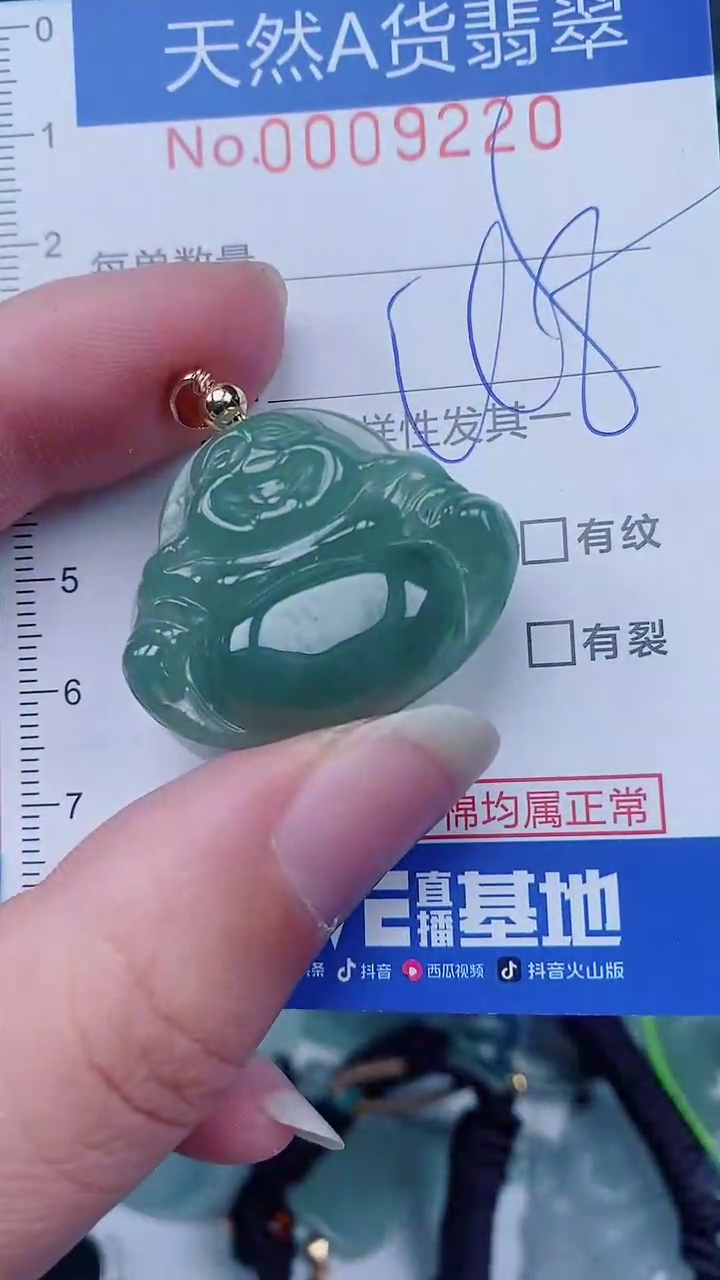 翡翠未镶嵌颈饰00009220