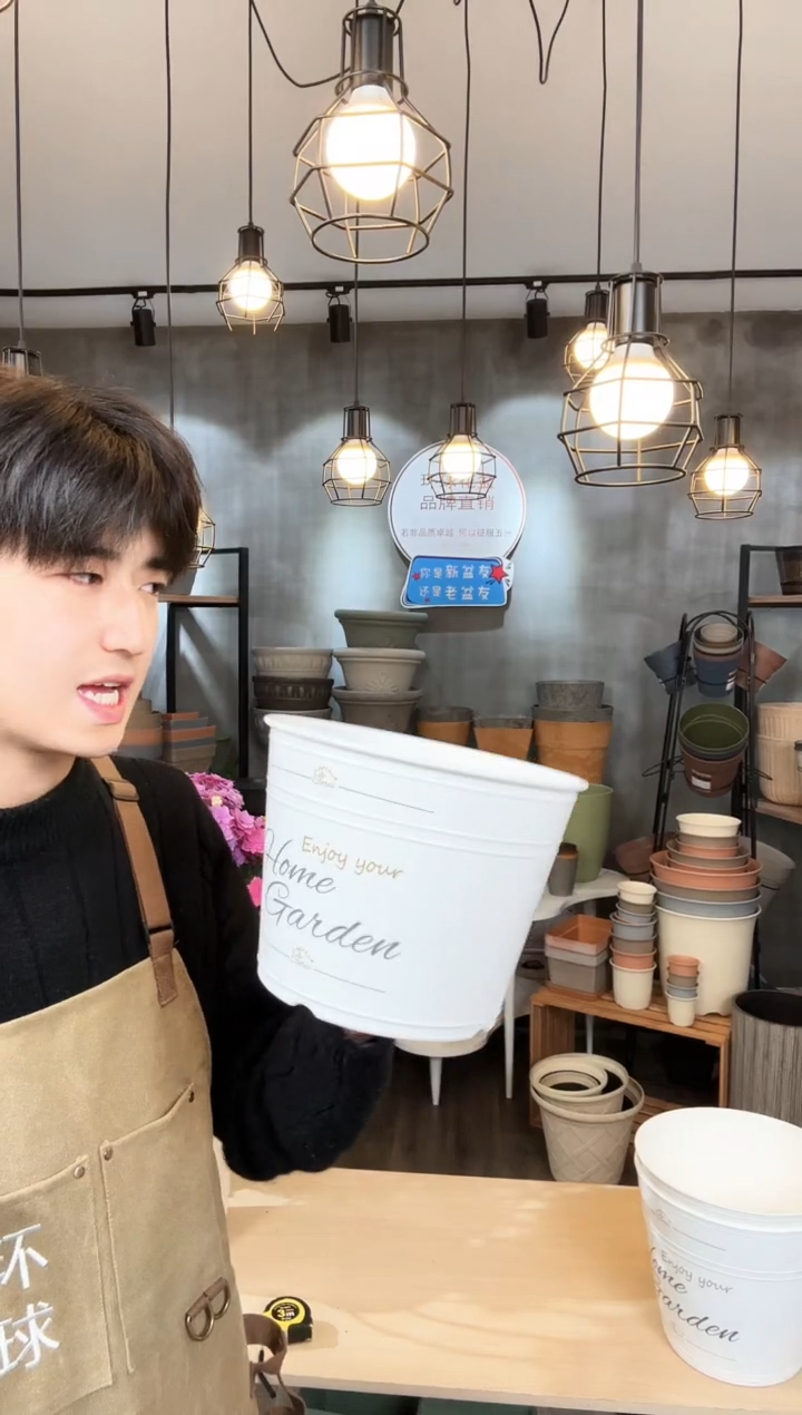 【闪购商品】塑料8寸罗斯玛丽白色印花10只装无托