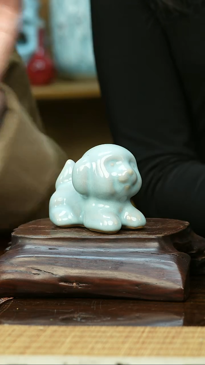  JCSG小狗      