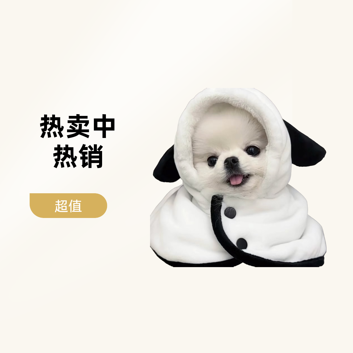小蔡同志博美犬小狗宠物用品宠物好物