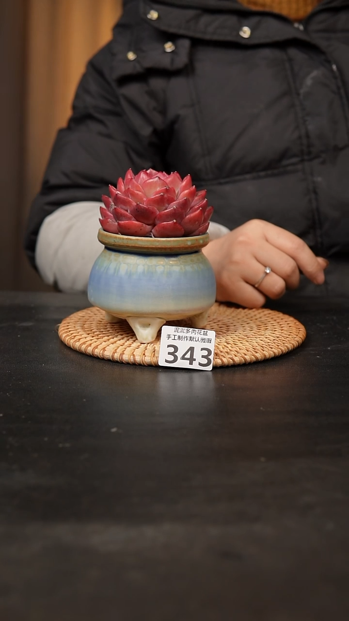 【闪购商品】瓷片343泥泥手工花盆口7.5