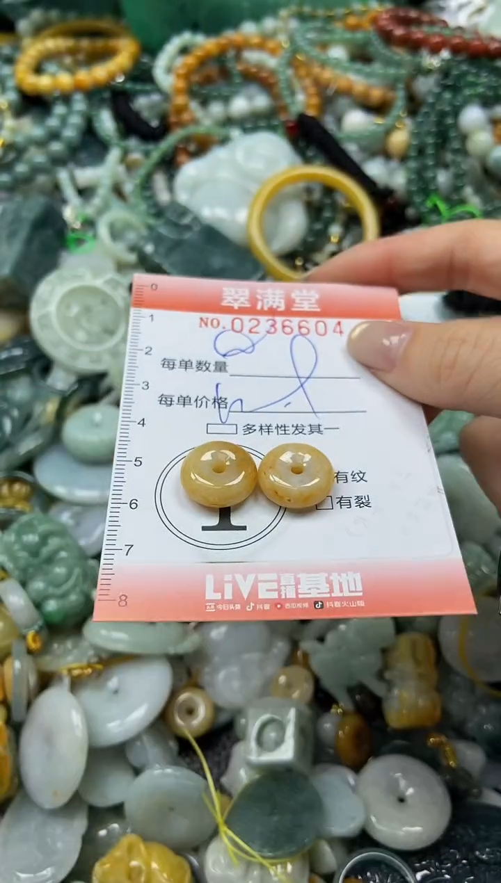 未镶嵌挂件翡翠闪购0236604