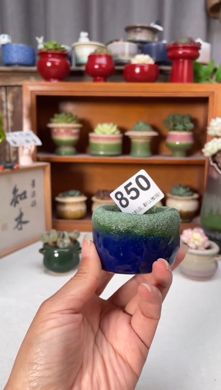 瓷片850小芳直播编号