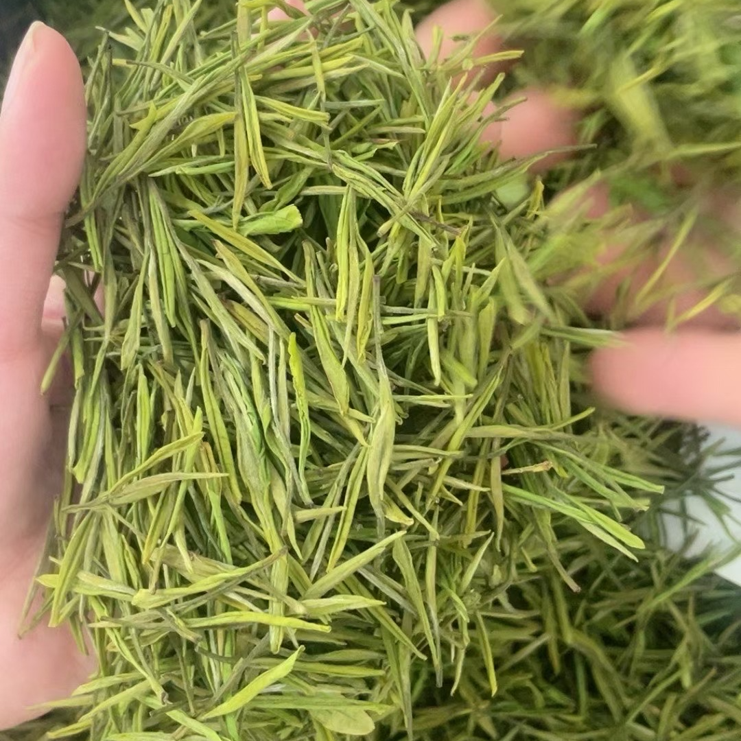 2025明前高山金香玉 自家茶厂兰花香高白化度福利款