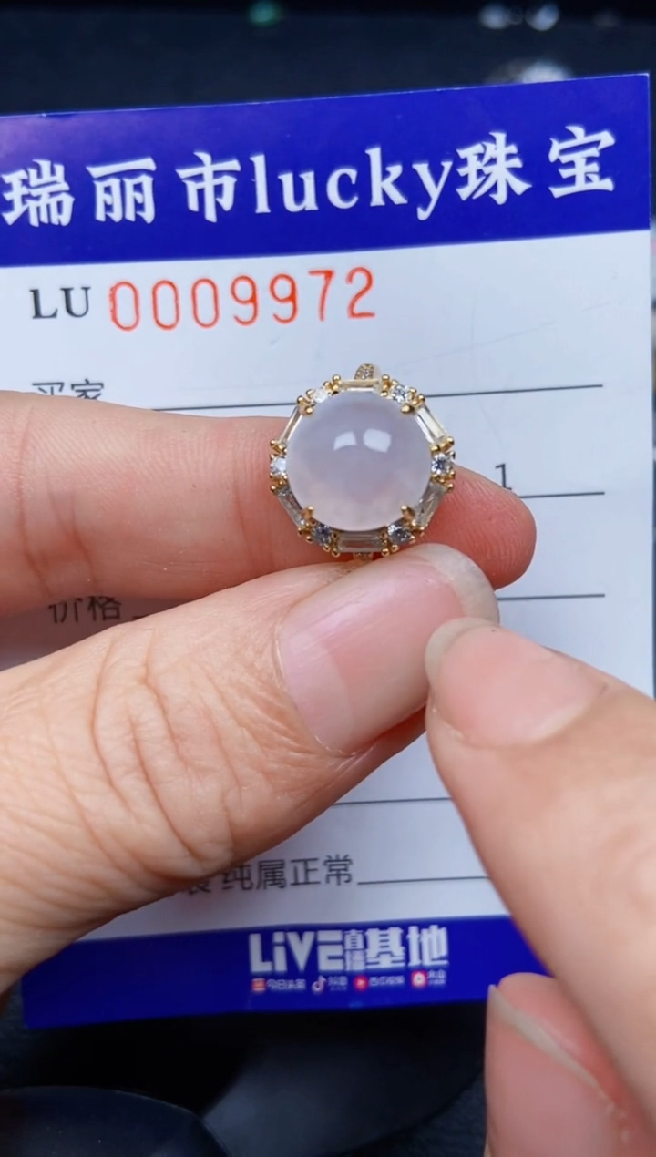 【闪购商品】翡翠颈饰银S925镶嵌9972