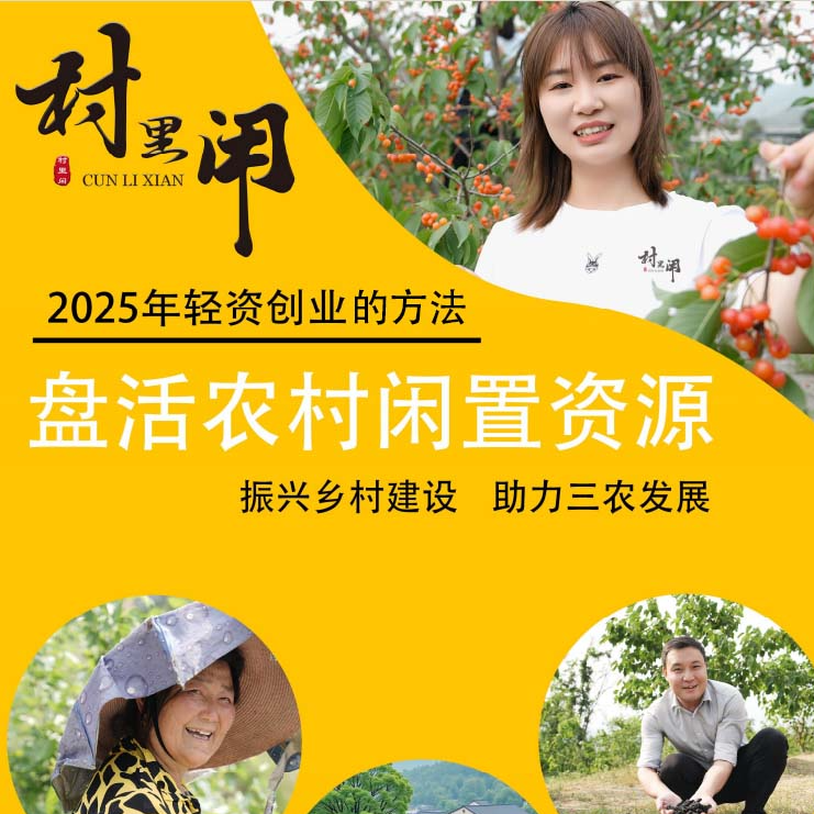 【原稿】盘活乡村闲置的方法资料1.0