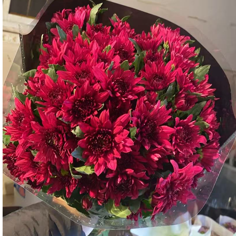 紫丹特 小雏菊全店任意N单一个运费