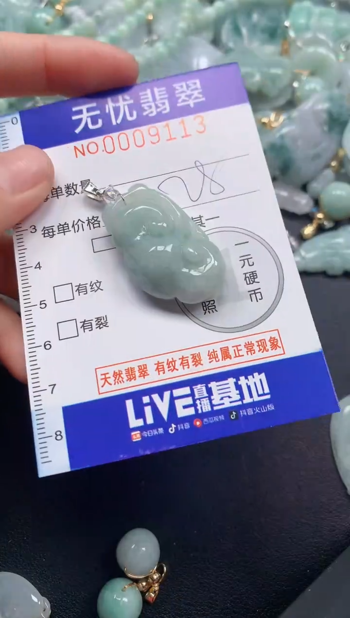 颈饰未镶嵌翡翠9113