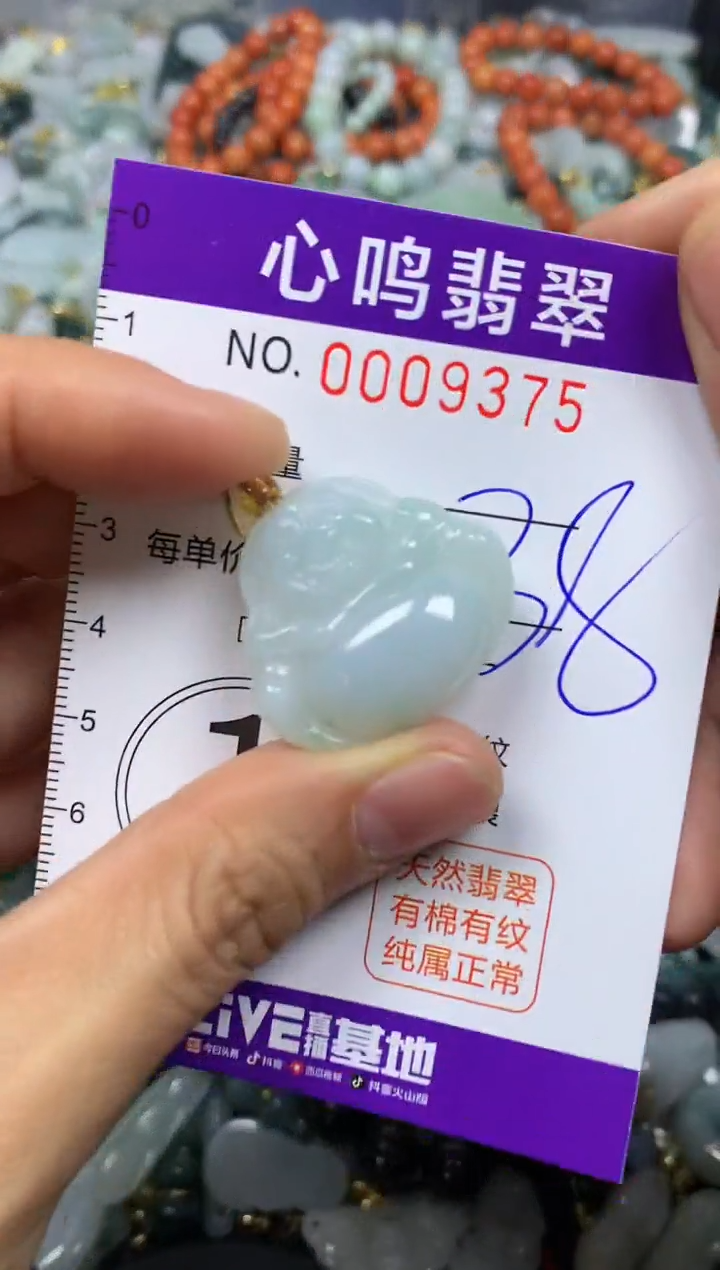 【闪购商品】翡翠颈饰未镶嵌闪购009375