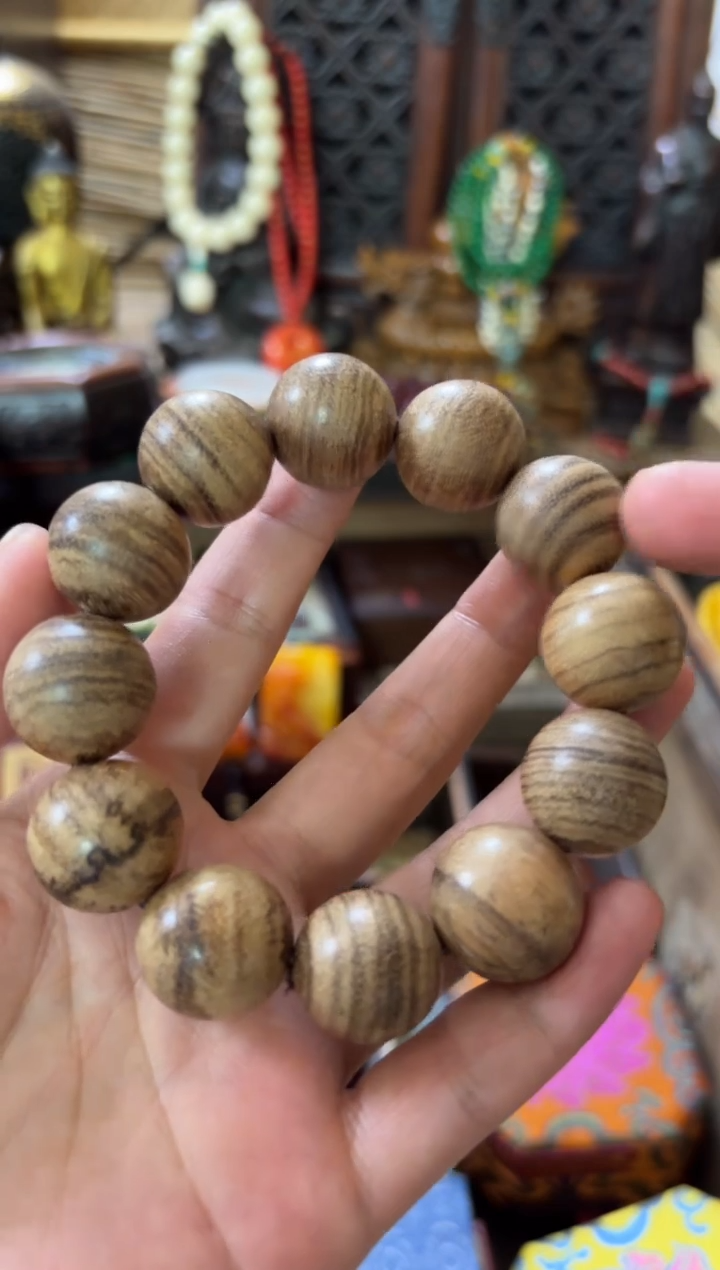 香榧木...................