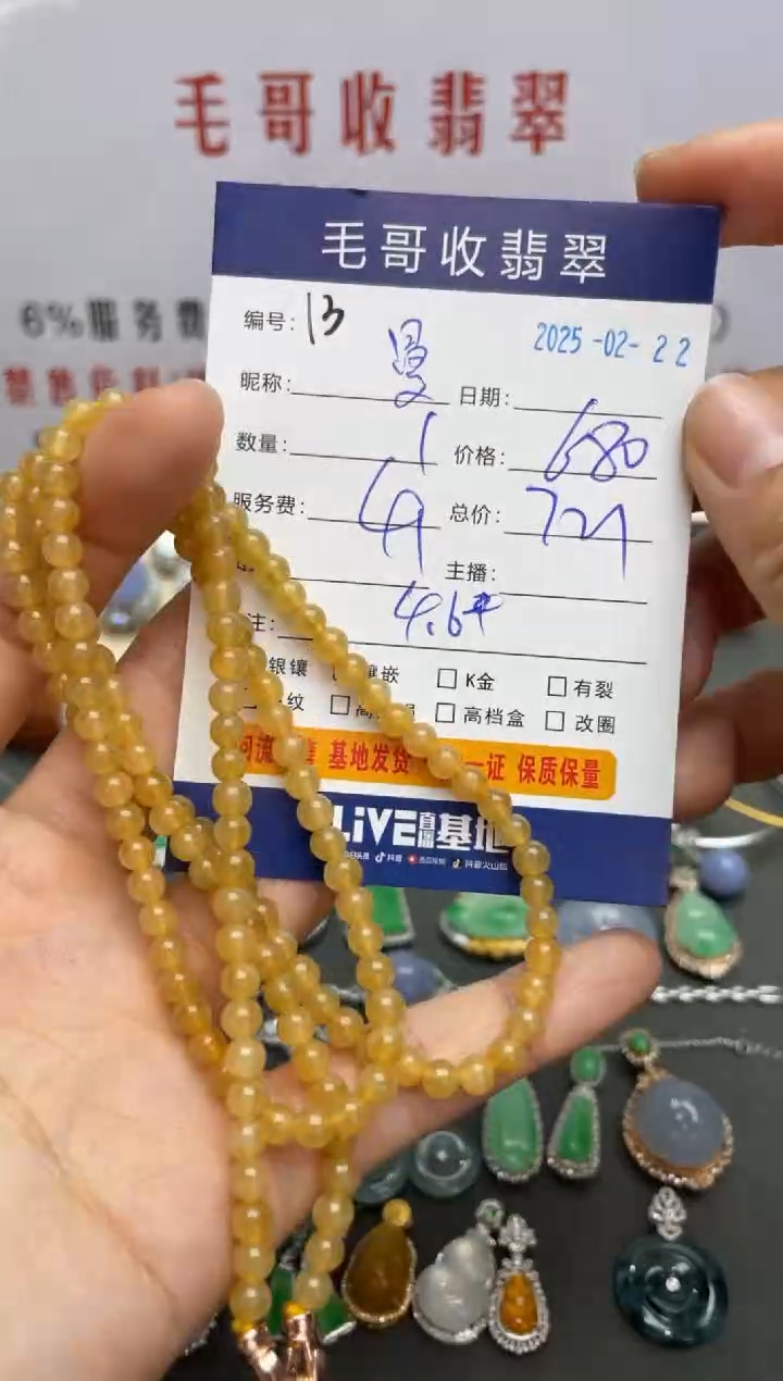 【闪购商品】翡翠项链未镶嵌翡翠0222013