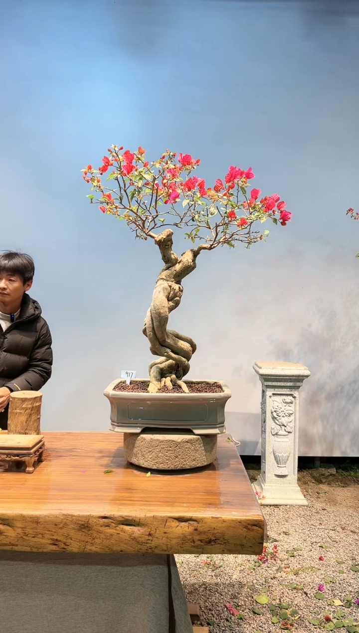 【闪购商品】AA917