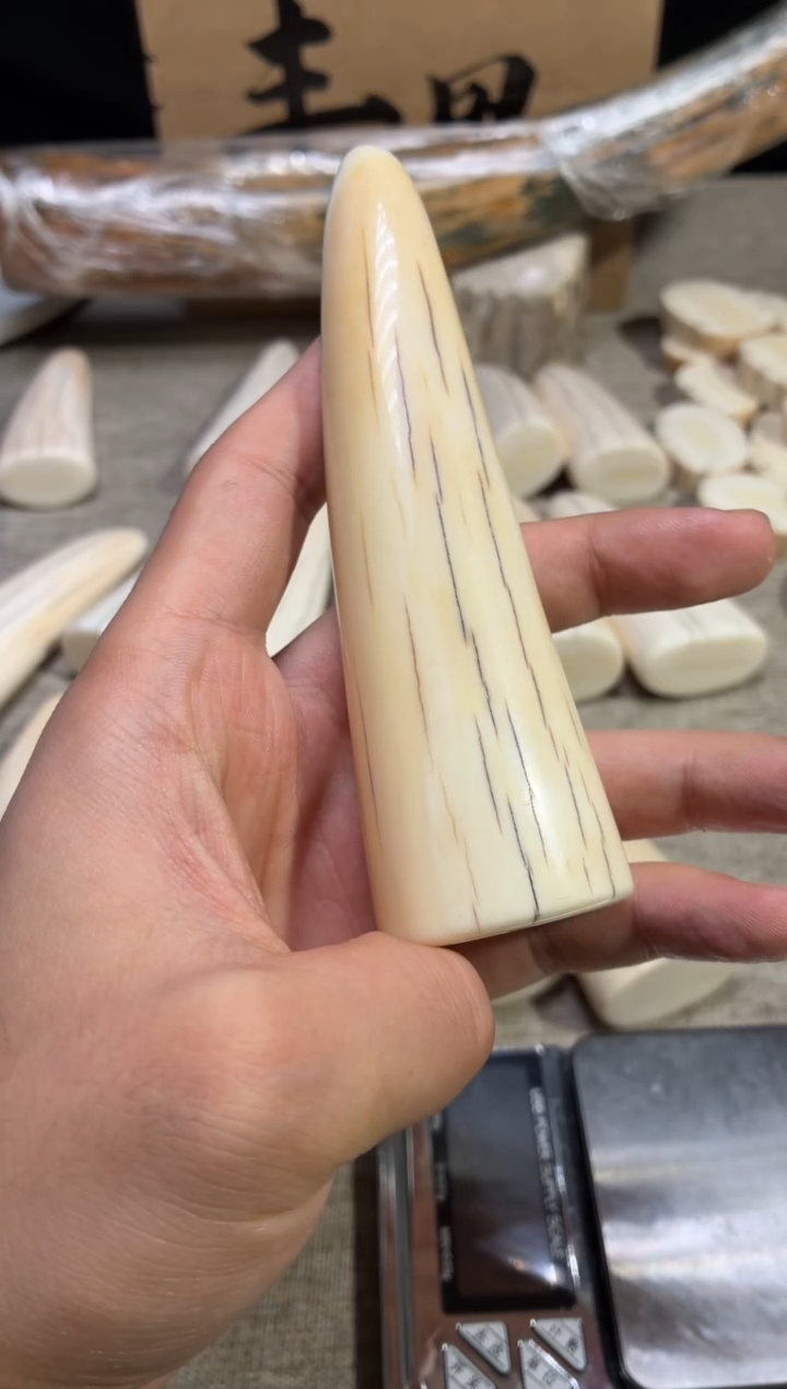 手串/手链/手镯猛犸象牙花**事闪购176 虬系列尖子