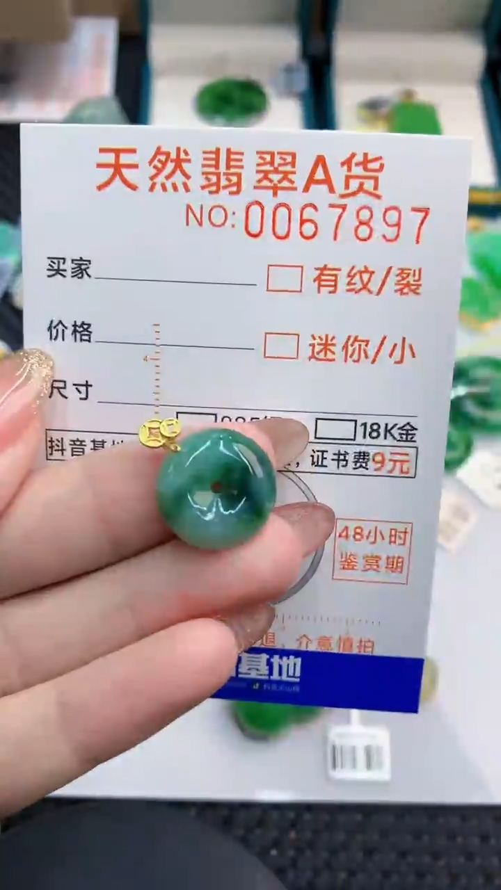 【闪购商品】翡翠银S925镶嵌颈饰            8
