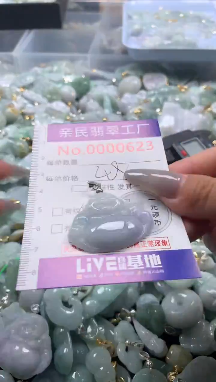 颈饰未镶嵌翡翠623