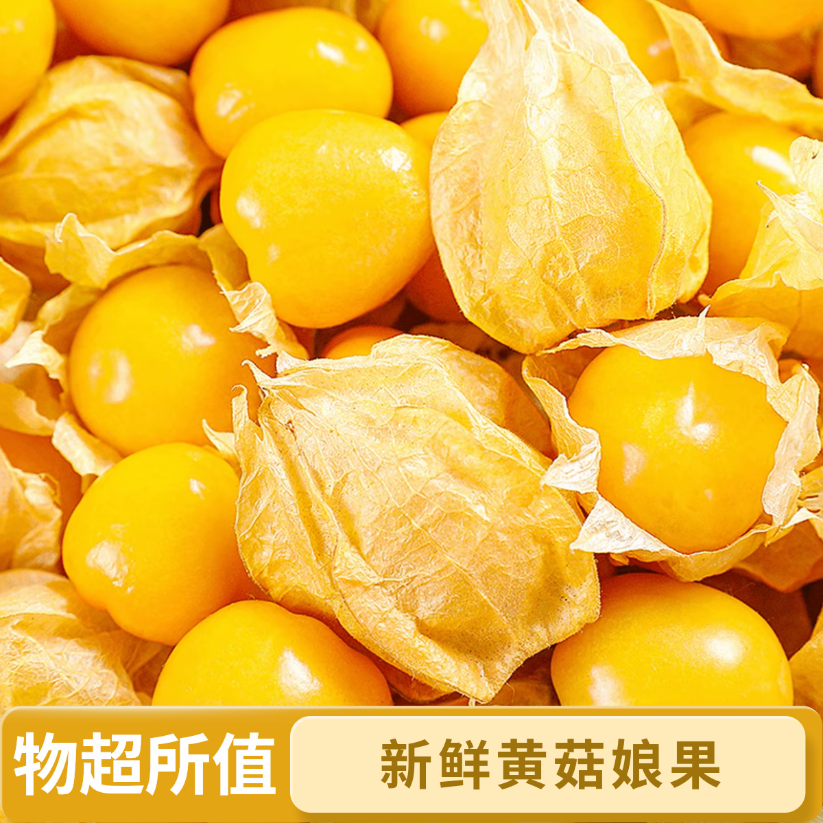 产地直发东北新鲜姑娘果灯笼果清甜多汁当季稀有水果