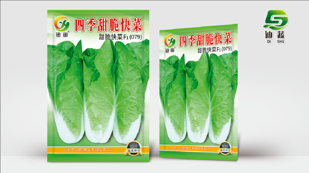 四季甜脆快菜速生快菜种子小白菜籽耐热耐寒抗病适合阳台小院种植