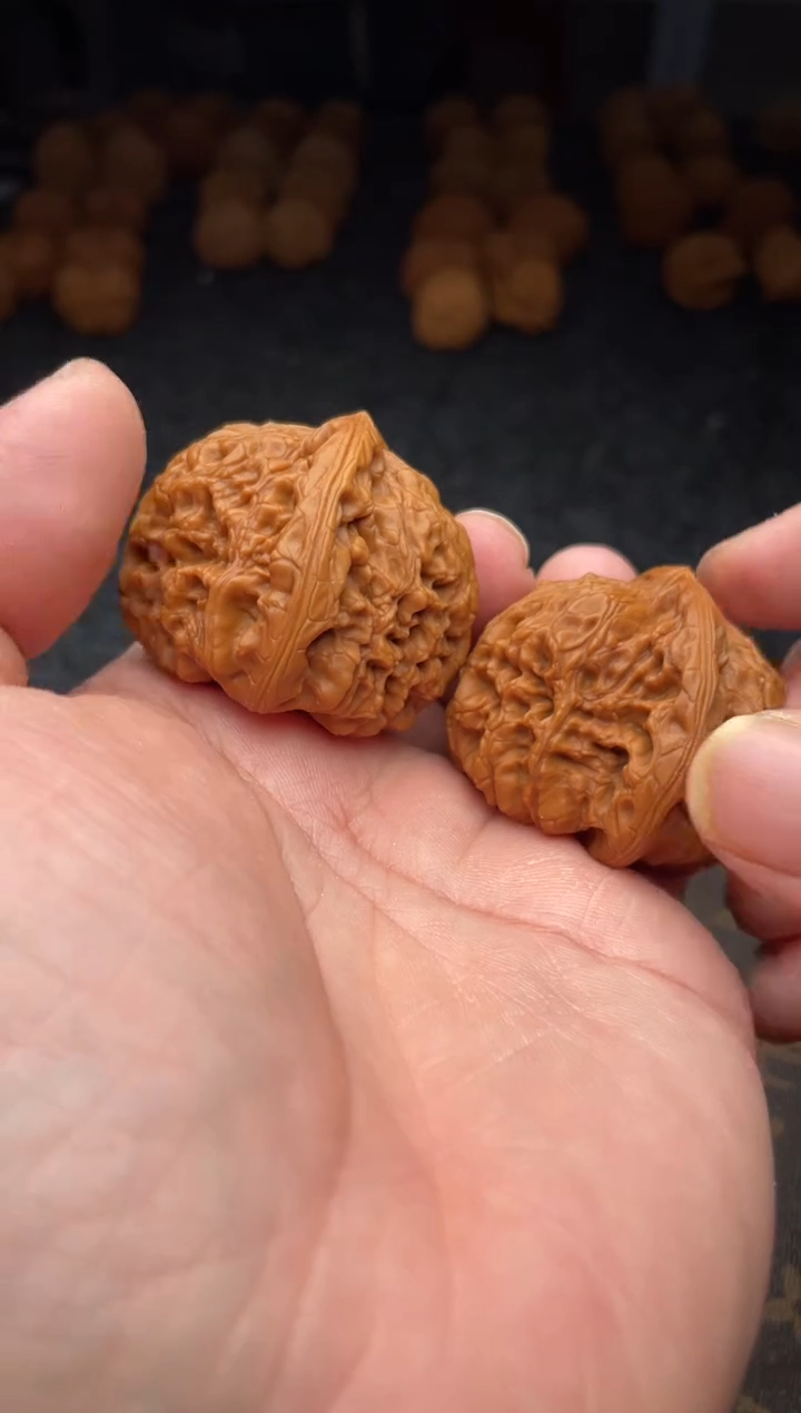 把件文玩核桃 B 67 号 43  尺南疆石