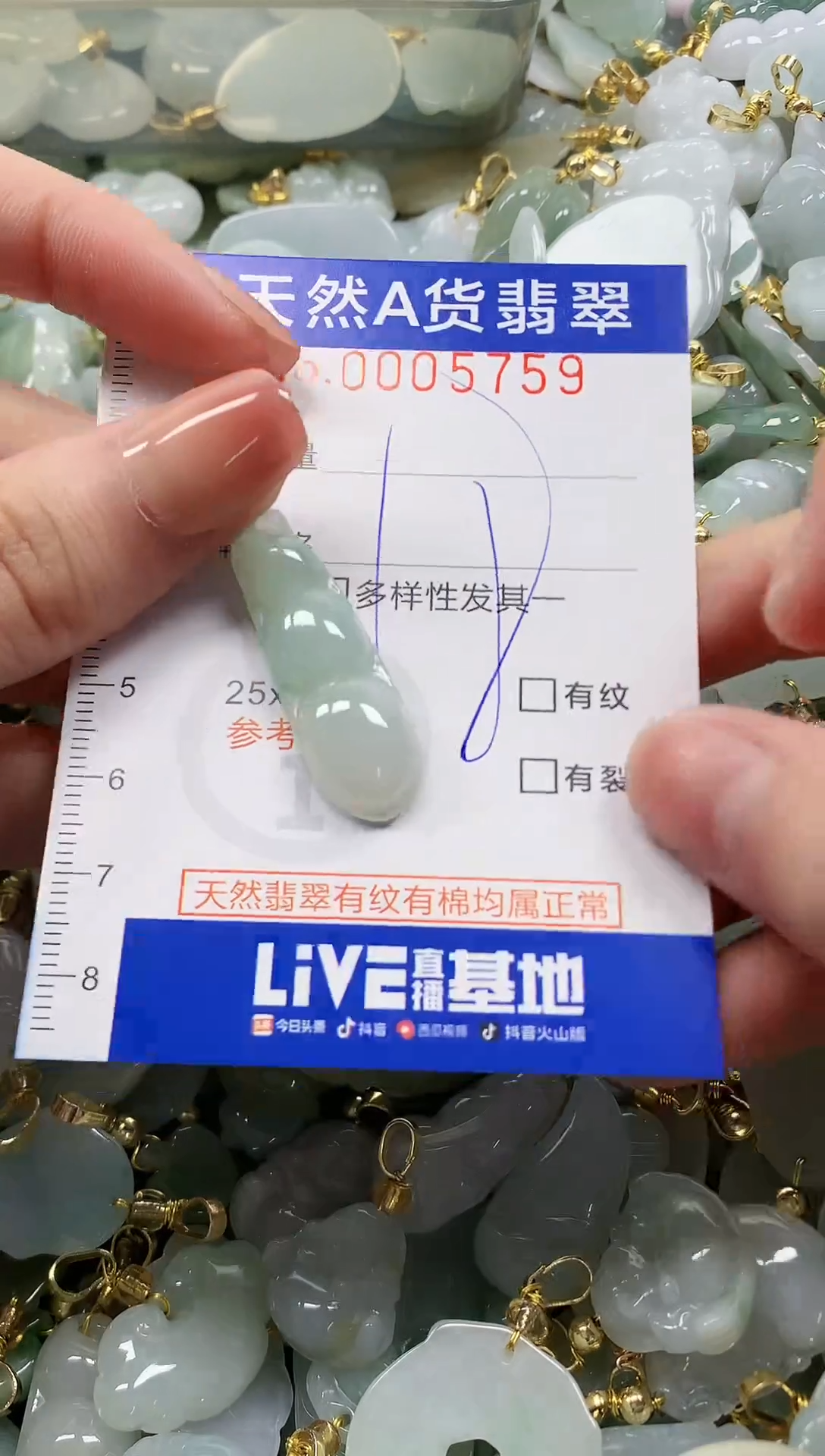 颈饰未镶嵌翡翠纯天然a货翡翠