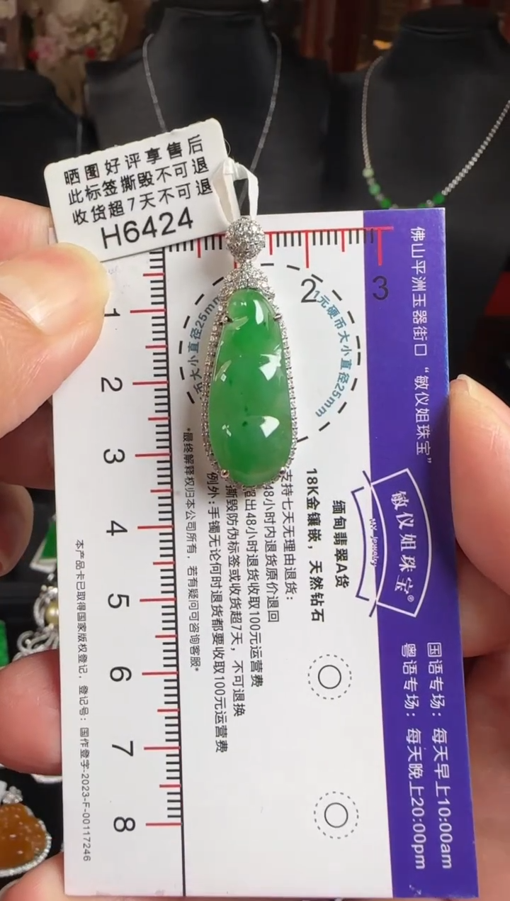 颈饰未镶嵌翡翠H6424冰绿富贵豆