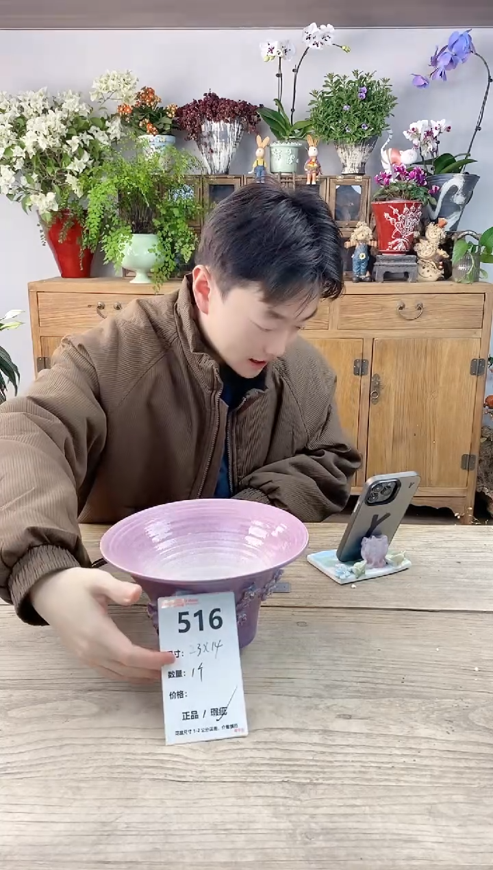 小玩子花盆直播编号516