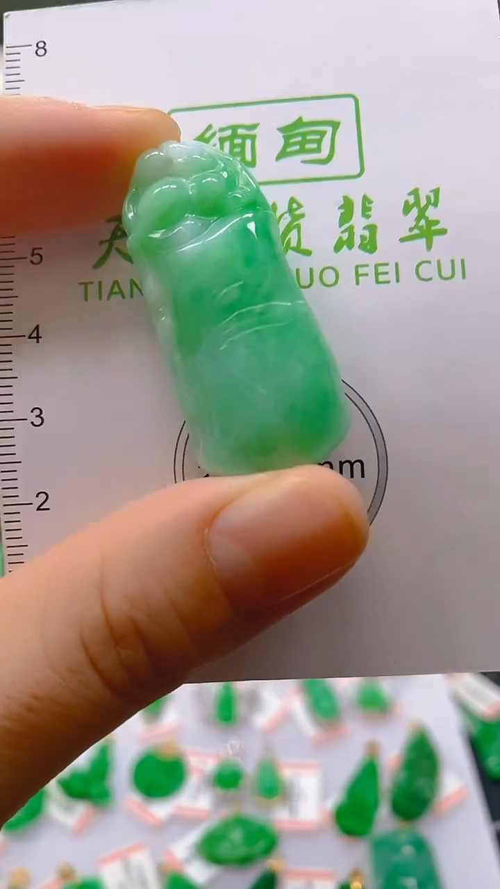 【闪购商品】翡翠颈饰未镶嵌新号开播，全场乱卖