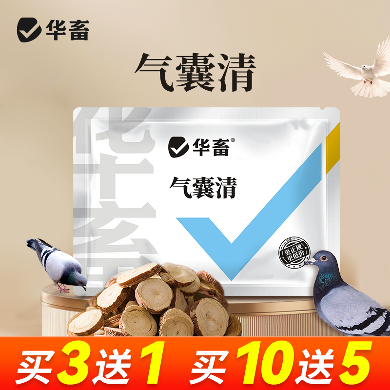  【买10送5】MS气囊清赛鸽元宝鸽 张嘴呼吸申脖子怪叫 添加剂