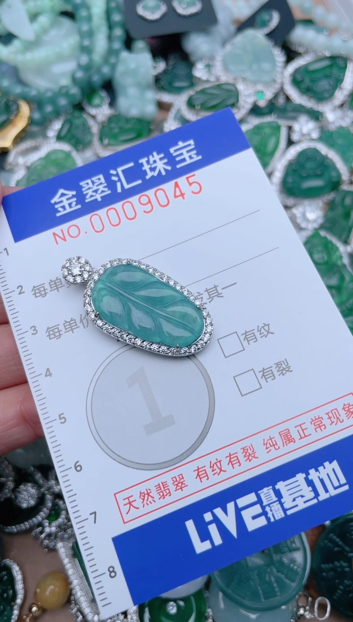 【闪购商品】翡翠颈饰未镶嵌9045.....1