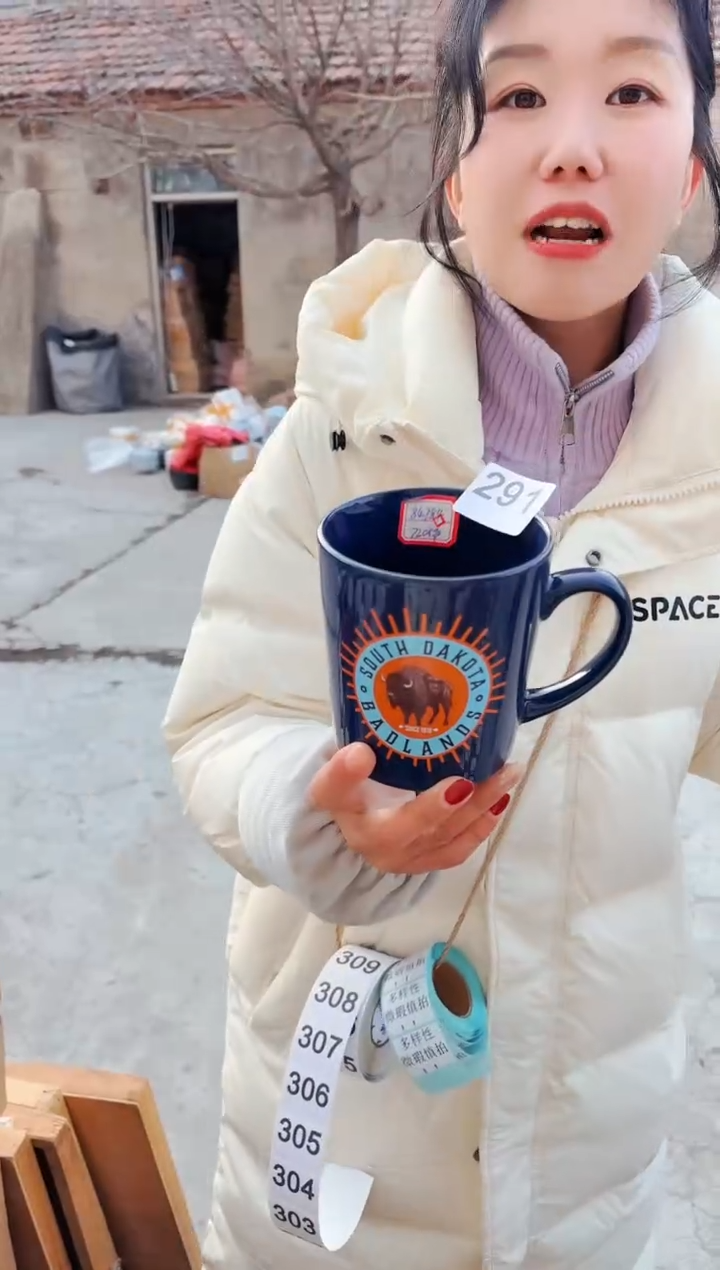 【闪购商品】炻瓷无盖款291