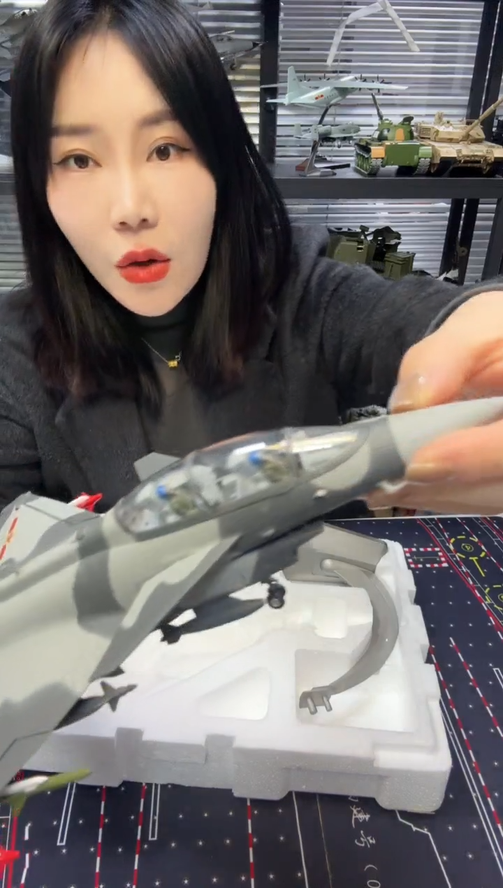 1/48合金歼10双座 合金模型