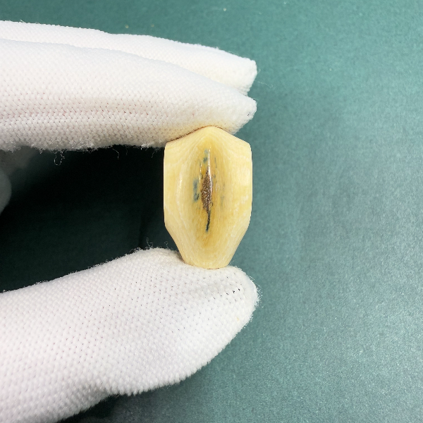 H5733 天然猛犸牙蓝眼鲨鱼背三通支持鉴定假一罚四