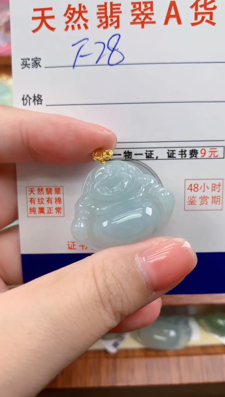 颈饰未镶嵌翡翠天然A货翡翠挂件