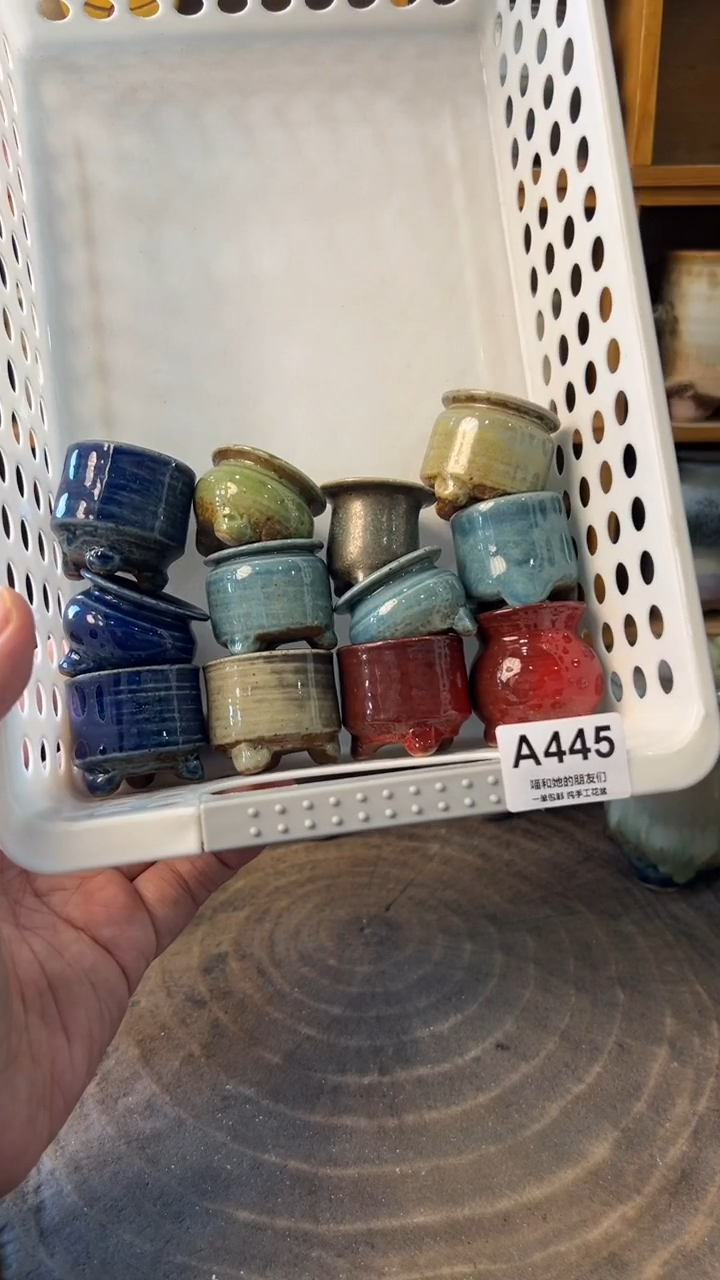 花**声445【多肉花盆多肉盆】