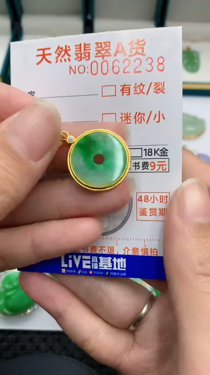 【闪购商品】翡翠颈饰银S925镶嵌            8