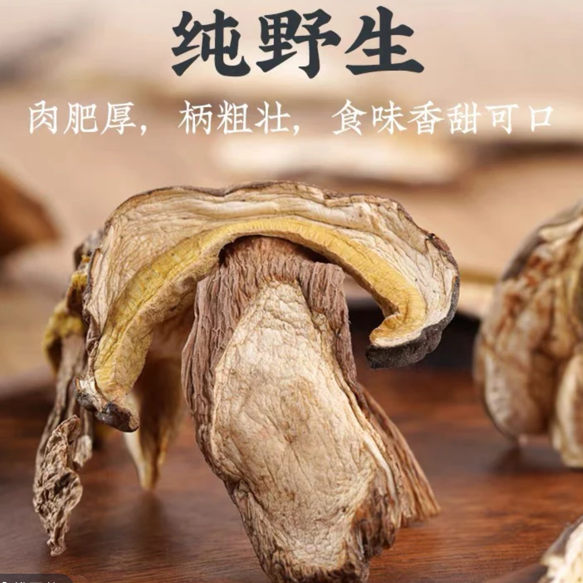 牛肝菌切片煲汤食材大脚菇土特产美味菌菇