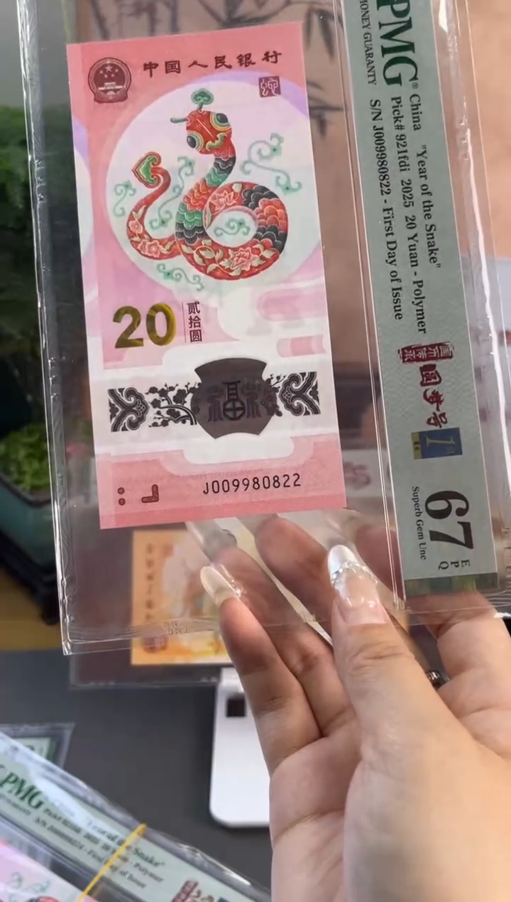 塑料龙珠号 蛇钞PMG67分 尾822