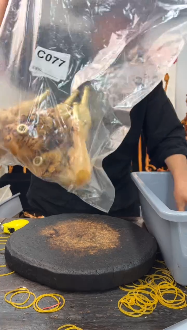 黑果木其他黑果木182